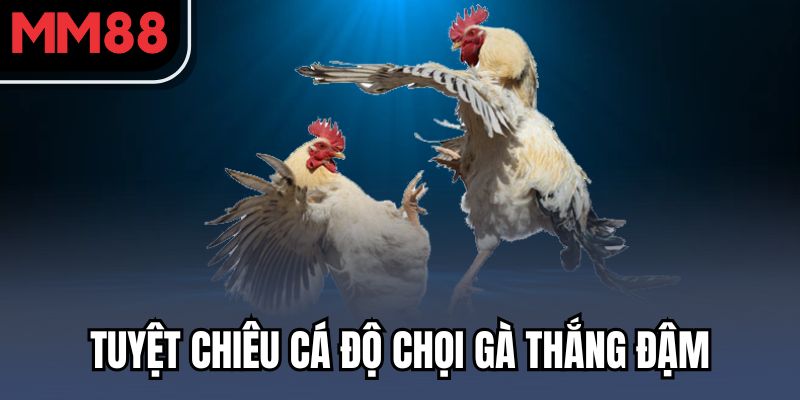 Tuyệt chiêu cá độ chọi gà thắng đậm