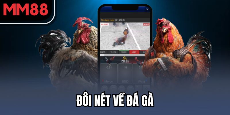 Đá Gà MM88 - Những Trận Đấu Kịch Tính Cùng Thưởng Lớn 1 Đôi nét về đá gà